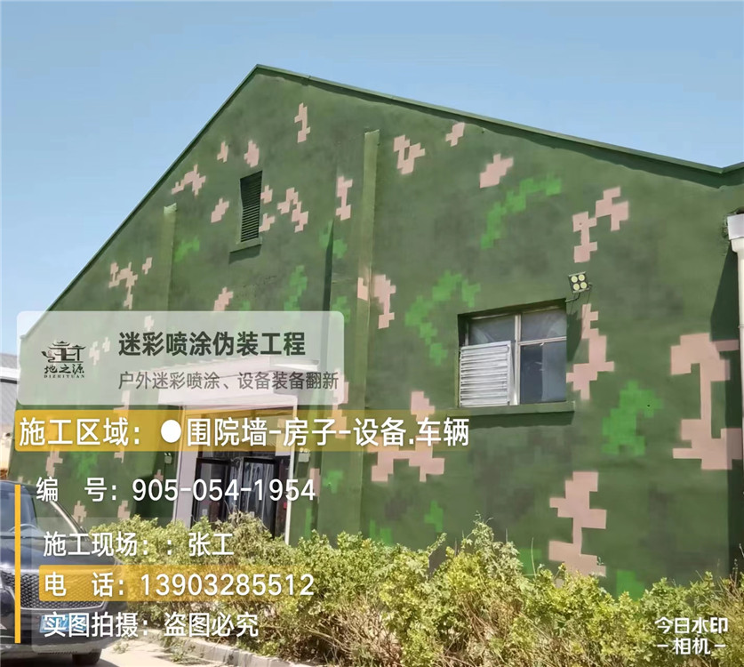 池州外墙数码迷彩漆施工报价清单（100㎡标准墙面测算）